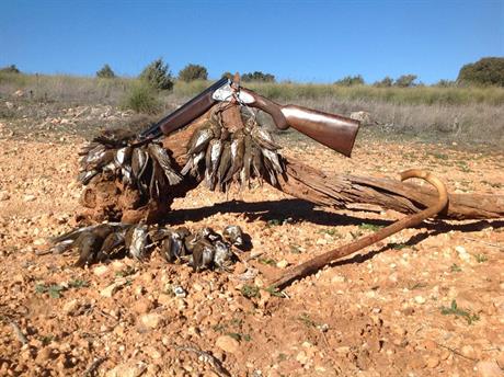 Caccia in Spagna con Madrugar